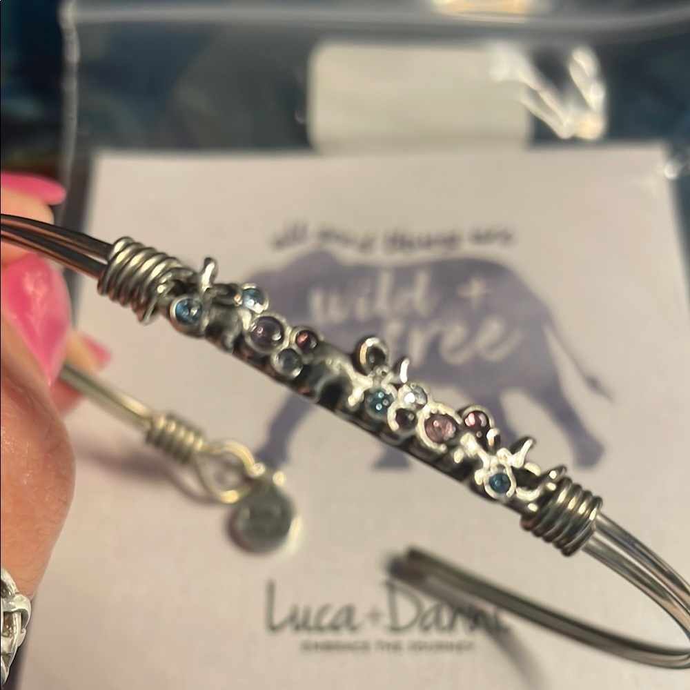 Luca + Danni Silver Bangle with Colorful Accents Wild & Free